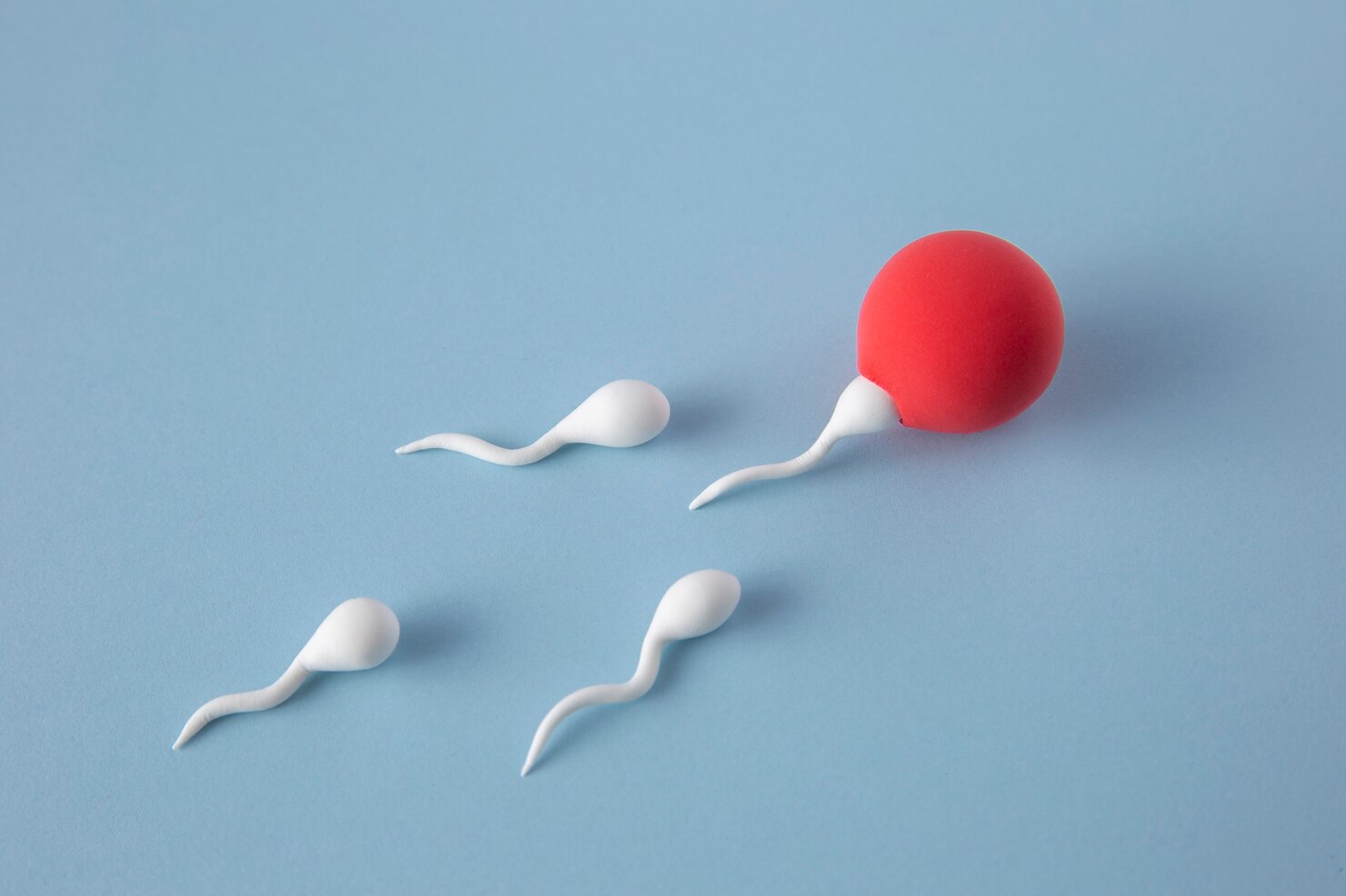 concepto-fertilidad-naturaleza-muerta-alto-angulo_23-2149214327